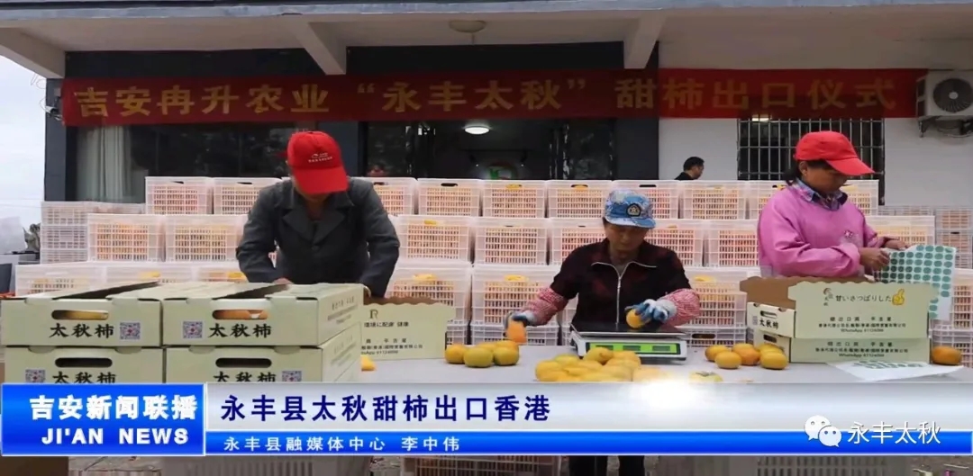 永丰太秋顺利出口成功